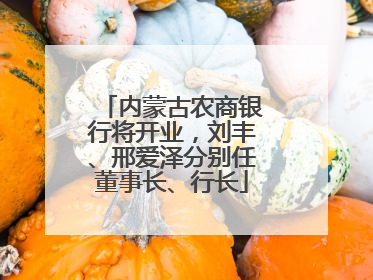 内蒙古农商银行将开业，刘丰、邢爱泽分别任董事长、行长