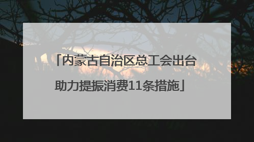 内蒙古自治区总工会出台助力提振消费11条措施