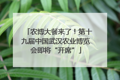农博大餐来了！第十九届中国武汉农业博览会即将“开席”
