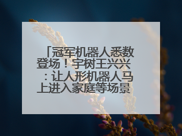 冠军机器人悉数登场！宇树王兴兴：让人形机器人马上进入家庭等场景并不现实