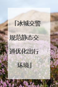 冰城交警规范静态交通优化出行环境