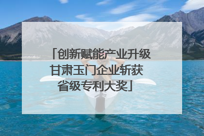 创新赋能产业升级 甘肃玉门企业斩获省级专利大奖