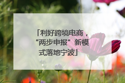 利好跨境电商，“两步申报”新模式落地宁波