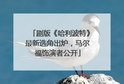 剧版《哈利波特》最新选角出炉，马尔福饰演者公开