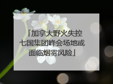 加拿大野火失控 七国集团峰会场地或面临烟雾风险