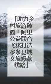 助力乡村旅游破圈！阿里公益联合飞猪打造多条县域文旅爆款线路