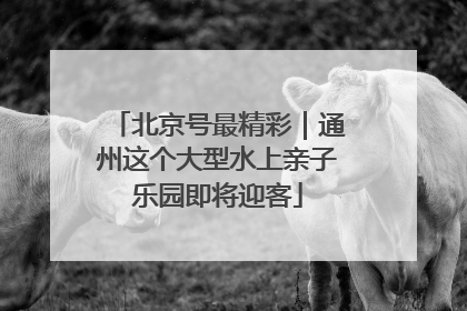北京号最精彩｜通州这个大型水上亲子乐园即将迎客