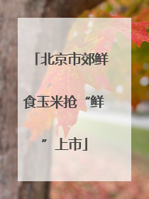 北京市郊鲜食玉米抢“鲜”上市