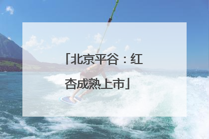 北京平谷：红杏成熟上市