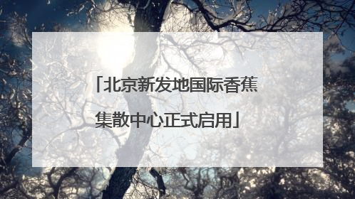 北京新发地国际香蕉集散中心正式启用
