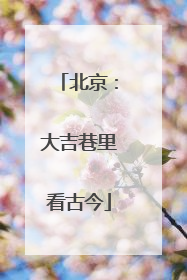 北京：大吉巷里看古今