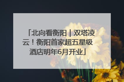 北向看衡阳｜双塔凌云！衡阳首家超五星级酒店明年6月开业