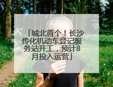 城北首个！长沙传化机动车登记服务站开工，预计8月投入运营