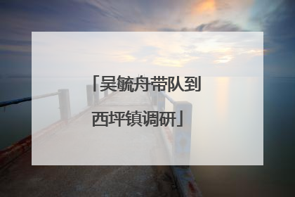 吴毓舟带队到西坪镇调研