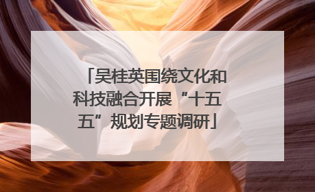 吴桂英围绕文化和科技融合开展“十五五”规划专题调研