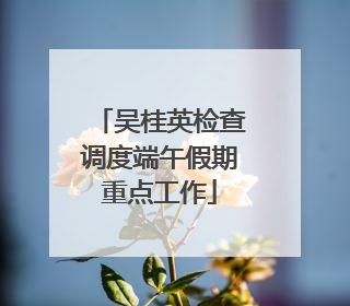 吴桂英检查调度端午假期重点工作