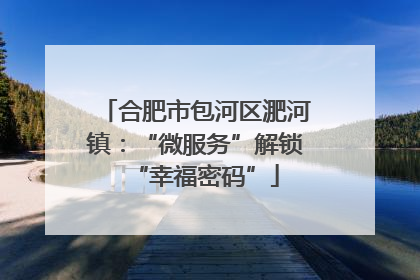 合肥市包河区淝河镇：“微服务”解锁“幸福密码”