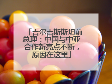 吉尔吉斯斯坦前总理：中国与中亚合作新亮点不断，原因在这里