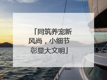 同筑养宠新风尚，小细节彰显大文明