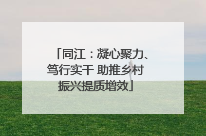 同江：凝心聚力、笃行实干 助推乡村振兴提质增效