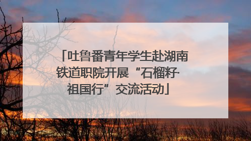 吐鲁番青年学生赴湖南铁道职院开展“石榴籽·祖国行”交流活动