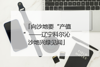 向沙地要“产值”——辽宁科尔沁沙地兴绿见闻