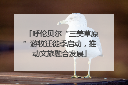 呼伦贝尔“三美草原”游牧迁徙季启动，推动文旅融合发展