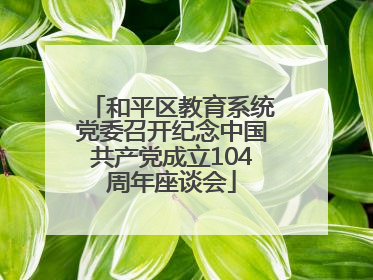 和平区教育系统党委召开纪念中国共产党成立104周年座谈会