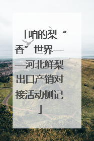 咱的梨“香”世界——河北鲜梨出口产销对接活动侧记