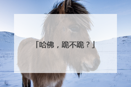 哈佛，跪不跪？