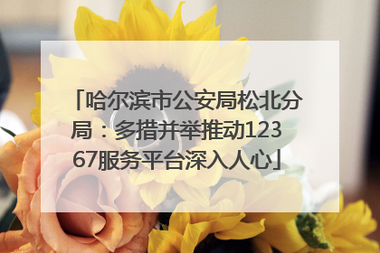 哈尔滨市公安局松北分局：多措并举推动12367服务平台深入人心