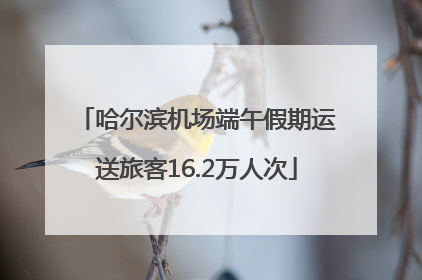 哈尔滨机场端午假期运送旅客16.2万人次