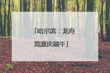 哈尔滨：龙舟竞渡庆端午