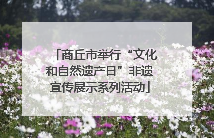 商丘市举行“文化和自然遗产日”非遗宣传展示系列活动