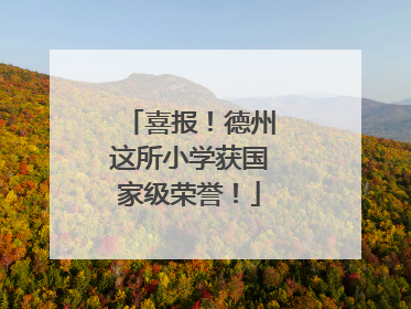 喜报！德州这所小学获国家级荣誉！