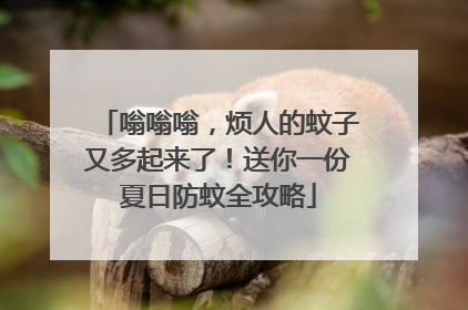 嗡嗡嗡，烦人的蚊子又多起来了！送你一份夏日防蚊全攻略