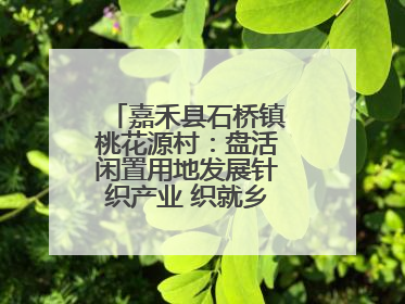 嘉禾县石桥镇桃花源村：盘活闲置用地发展针织产业 织就乡村振兴新图景