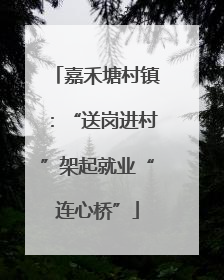 嘉禾塘村镇：“送岗进村”架起就业“连心桥”