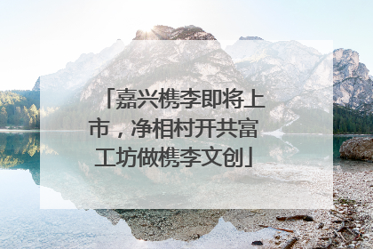 嘉兴槜李即将上市，净相村开共富工坊做槜李文创