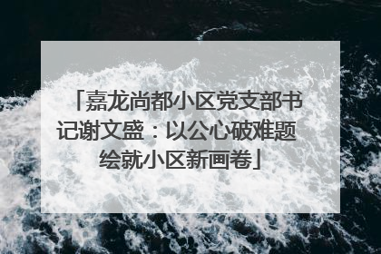 嘉龙尚都小区党支部书记谢文盛：以公心破难题 绘就小区新画卷