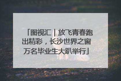图视汇｜放飞青春跑出精彩，长沙世界之窗万名毕业生大趴举行
