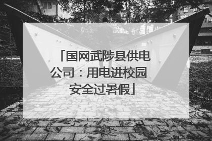 国网武陟县供电公司：用电进校园  安全过暑假