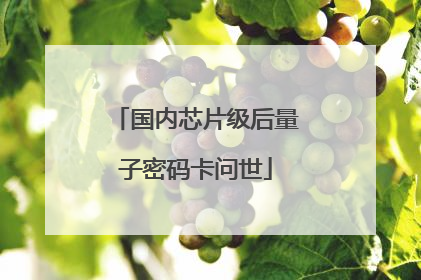 国内芯片级后量子密码卡问世