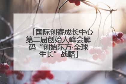 国际创客成长中心第二届创始人峰会解码“创始东方·全球生长”战略