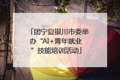 团宁夏银川市委举办“AI+青年就业”技能培训活动