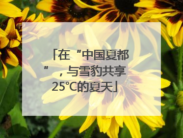 在“中国夏都”，与雪豹共享25℃的夏天