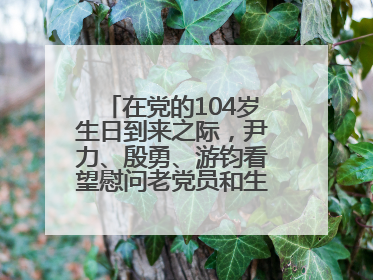 在党的104岁生日到来之际，尹力、殷勇、游钧看望慰问老党员和生活困难党员