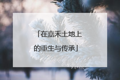 在嘉禾土地上的重生与传承
