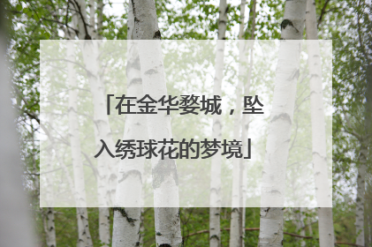 在金华婺城，坠入绣球花的梦境