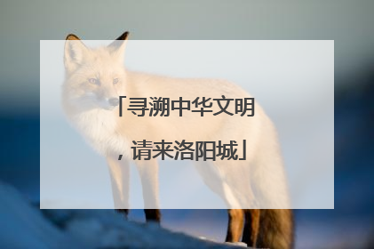 寻溯中华文明，请来洛阳城
